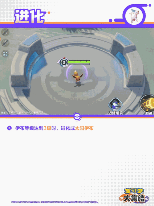 宝可梦大集结,太阳伊布技能全解析与角色深度评测