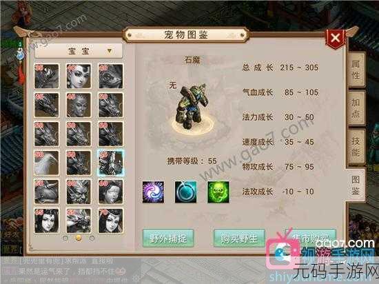 问道手游宠物后缀深度解析,掌握宠物后缀,解锁游戏新实力
