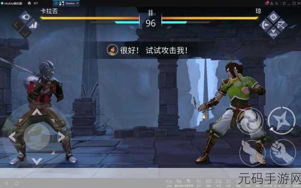 暗影格斗3快速升级全攻略，四大方法助你称霸格斗场