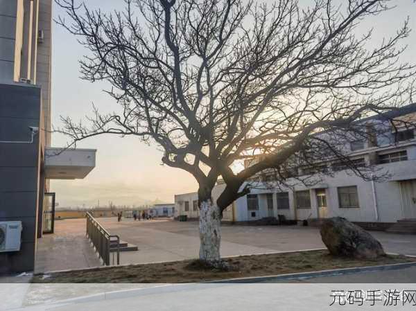 我的休闲时光北国物语活动全面解析,冬日奇遇,精彩不容错过