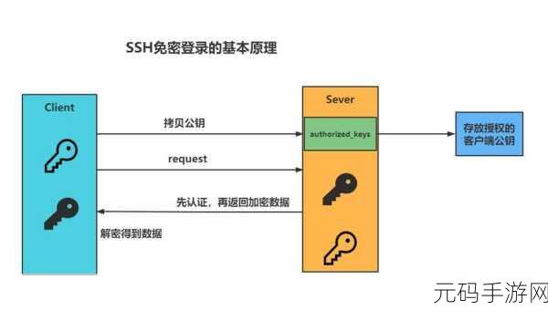 掌握关键技巧,让 Linux SSH 服务器访问速度飙升