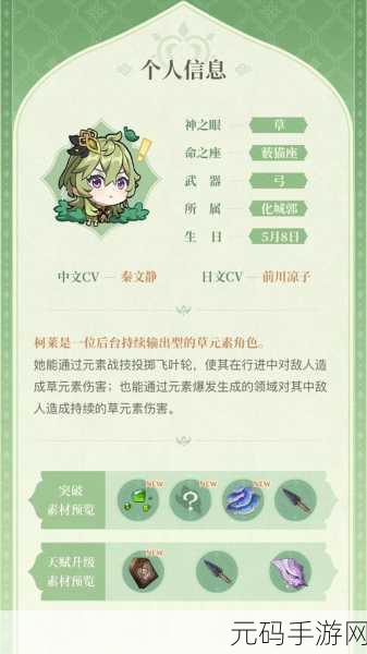 原神柯莱强度深度解析，草元素弓手的实力探索