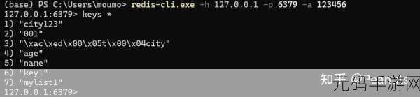 掌握 SpringData Redis 开发的秘诀