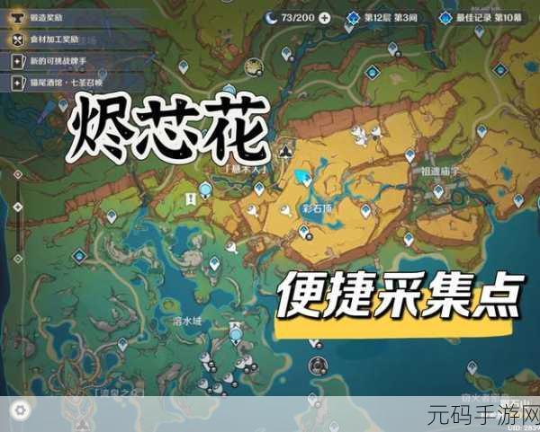 原神宗室之花获取攻略及刷新位置详解