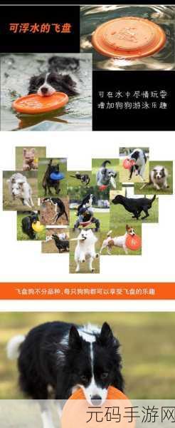 手游资讯,绝区零鸣徽狗狗飞盘技能效果详解