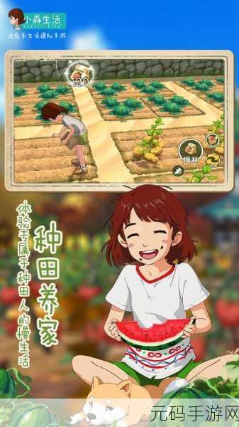 小森生活,挖金矿赚钱攻略助你快速致富