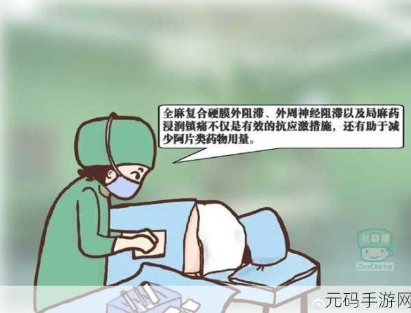 Podo 漫画账号退出秘籍，一步到位的详细指南