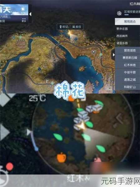 手游资讯,黎明觉醒,生机PVP模式全面解析