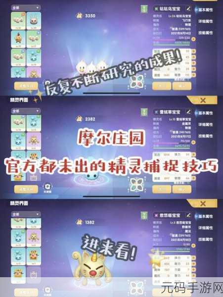 摩尔庄园精灵哒哒鸟捕捉全攻略,助你轻松捕获萌宠