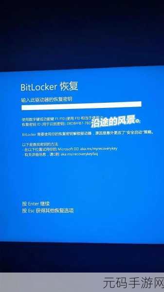 Win10 中轻松摆脱 BitLocker 的秘籍