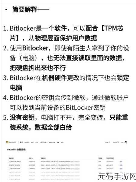 Win10 中轻松摆脱 BitLocker 的秘籍