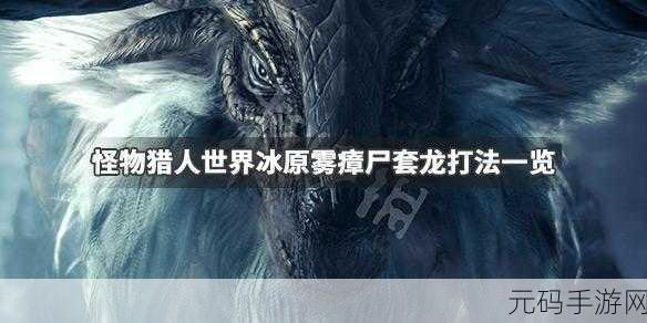 崩坏3深入冰原地脉迷宫全收集攻略，解锁冰原深处的秘密