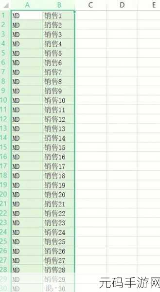 轻松掌握 Excel 工程资源管理器中模块命名更改技巧