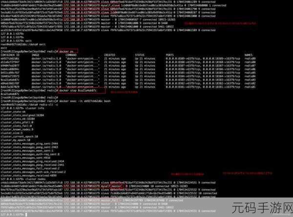 探秘 Zookeeper Docker 集群的配置秘籍