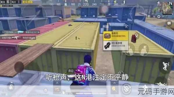和平精英N港全方位攻略深度解析,从新手村到战术大师的蜕变之路
