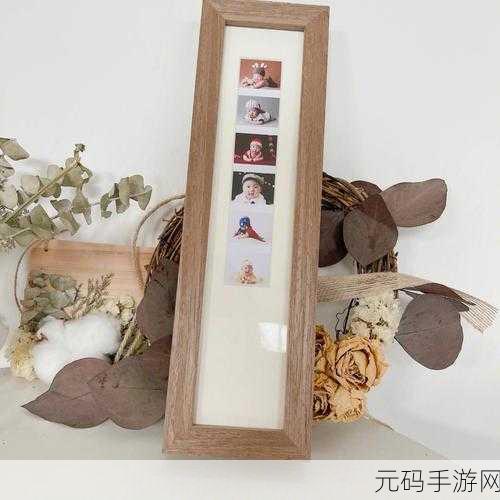 Darktable 为照片添加精美相框秘籍大公开