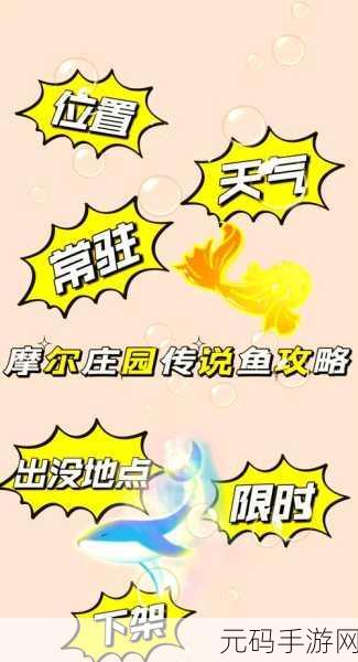 摩尔庄园手游，揭秘怪怪鱼的用途与钓取地点