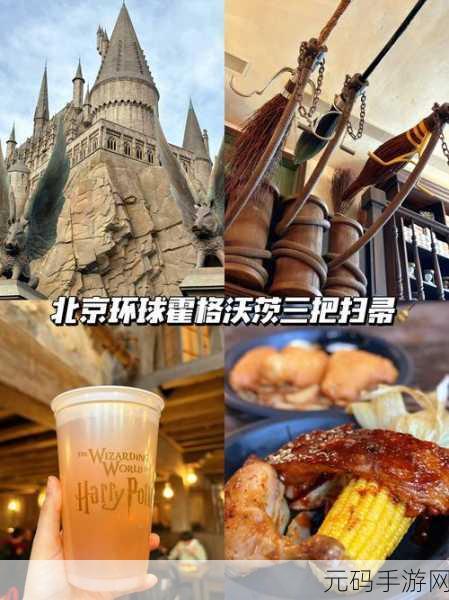 霍格沃茨之遗扫帚使用全攻略,解锁飞行魔法,畅游魔法世界