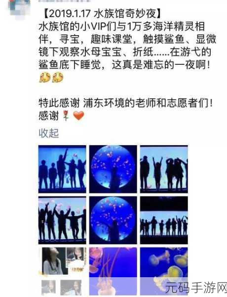 晚安森林手游资讯,甜心桥修复工程正式启动,探索之旅再添新章