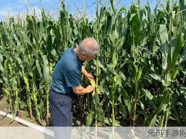 老农种树大作战新版本震撼发布,全新玩法与丰富活动等你来体验