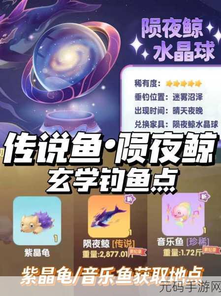 摩尔庄园手游新食谱揭秘，弹跳甲鱼汤制作全攻略