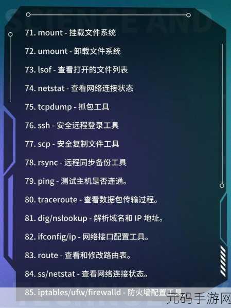 轻松掌握，Linux 去重命令的巧妙设置
