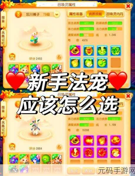 梦幻新诛仙敏法宠加点全攻略,打造高效战斗伙伴