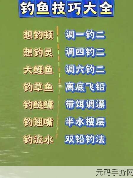 海岛纪元钓鱼大全深度解析,掌握技巧,迈向钓鱼高手之路