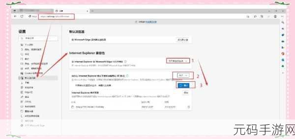 IE 浏览器,探索其所属的浏览器类型之谜