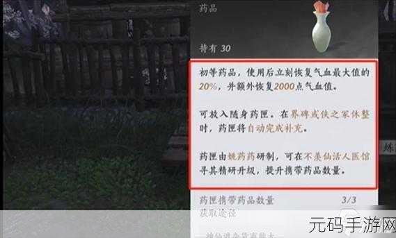 燕云十六声手游,深度解析药品制作与使用方法,探索武侠世界的医疗奥秘