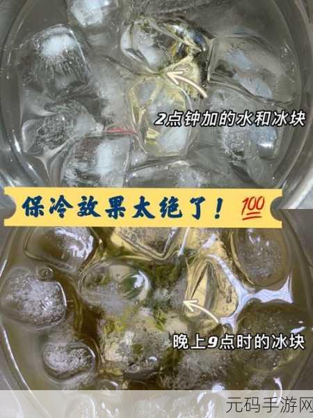 探秘蚂蚁庄园,冰块在保温杯中的融化之谜