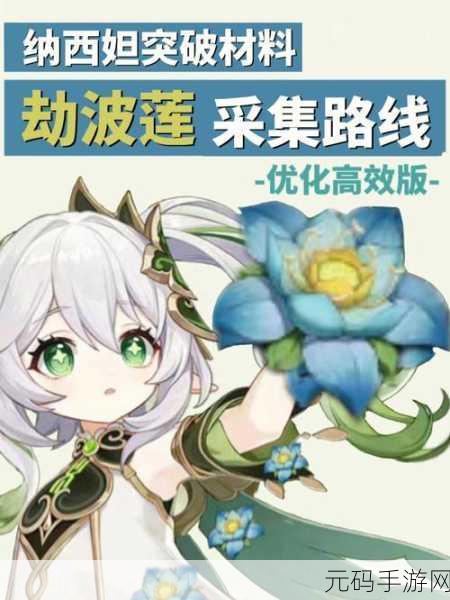 原神纳西妲突破材料揭秘，究竟是月莲还是劫波莲？