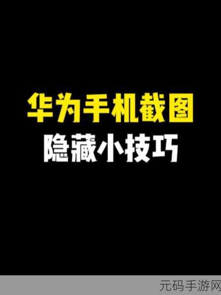 苹果 12 滚动截屏秘籍,简单几步轻松搞定长截图