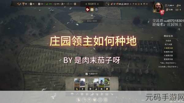 庄园领主手游资讯,食品摊位弃用原因深度解析