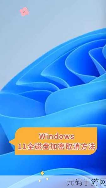 轻松搞定!Win11 文档加密全攻略