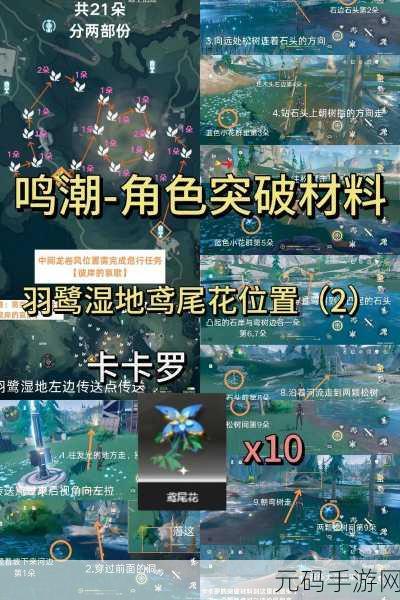鸣潮手游花烈郎角色位置揭秘,探索全新冒险之旅
