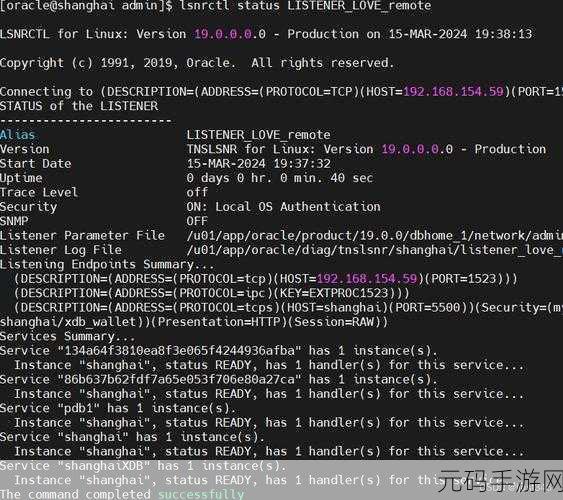 轻松掌握,查看 Oracle 数据库 IP 的实用秘籍