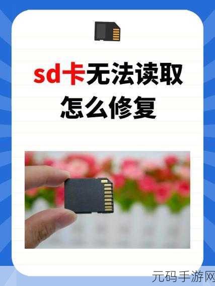 SD 卡文件删除恢复秘籍大揭秘