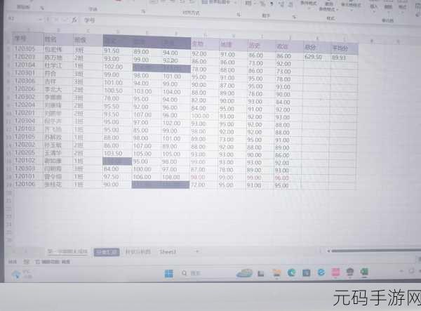 Excel 月份序列录入秘籍,快速提升效率的绝佳技巧