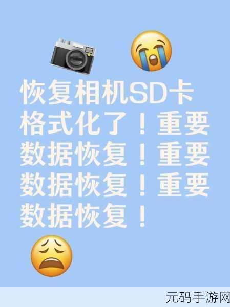 轻松搞定尼康相机 SD 卡数据恢复秘籍