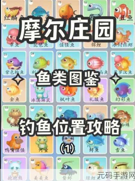 摩尔庄园手游石子路获取全攻略