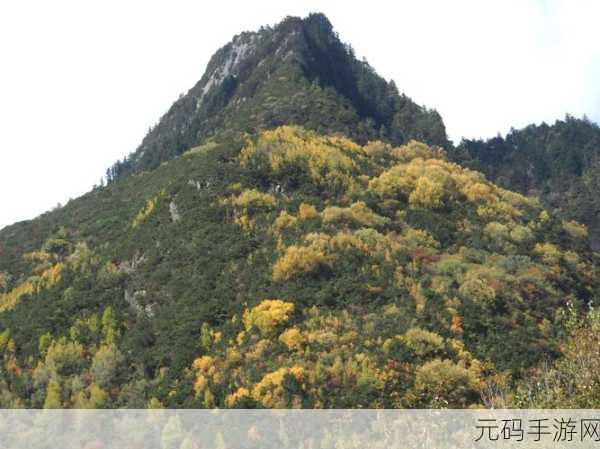 创造与魔法深秋祭典活动全攻略,深秋红叶获取与奖励一览
