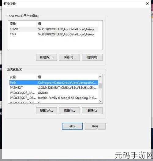 Win10 系统中 Java 环境变量的巧妙设置秘籍