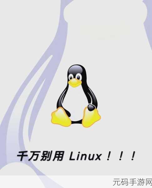 Puppy Linux 能否畅看视频?深度解析为您揭晓