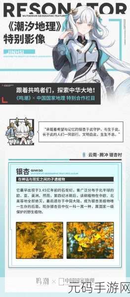 鸣潮潮汐觅闻活动深度解析,探索未知,寻觅奇遇