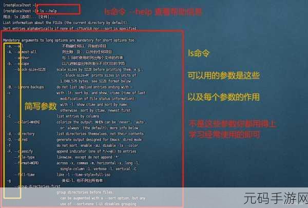 掌握 sh 命令,优化 Linux 系统的关键技巧