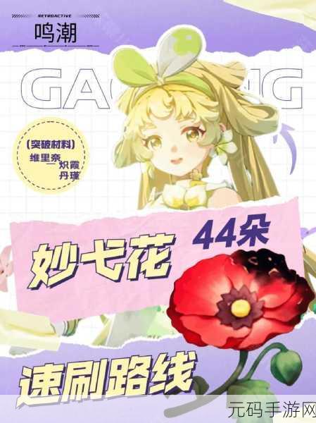 鸣潮44朵妙弋花采集路线图全解析,助你畅游花海