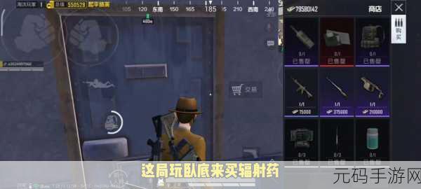 和平精英查证模式,揭秘如何成为卧底高手