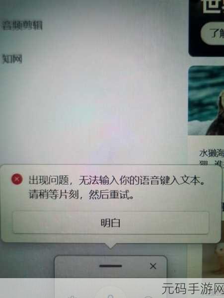Win11 右下角图标显示难题轻松破解