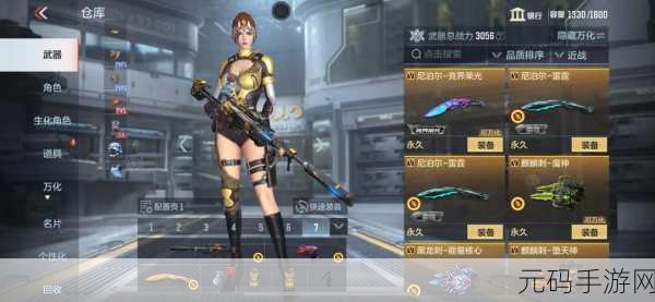 荣耀御盾皮肤价格一览,深入探究御盾皮肤的价值与购买攻略